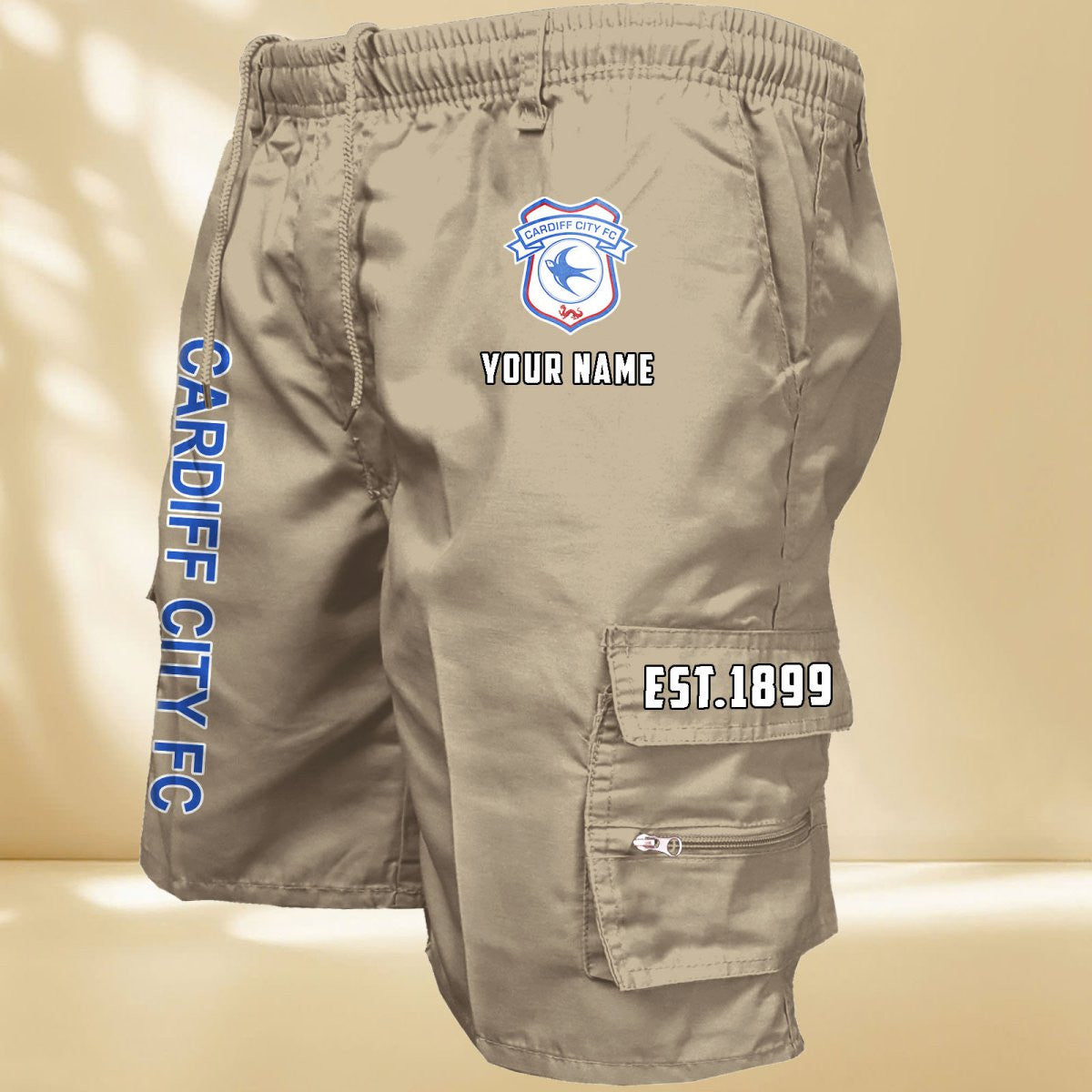 Cardiff City DDQMCOS10215