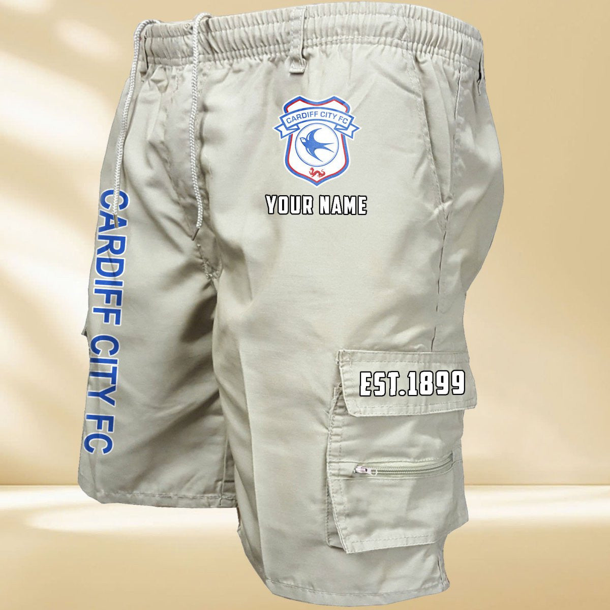 Cardiff City DDQMCOS10215