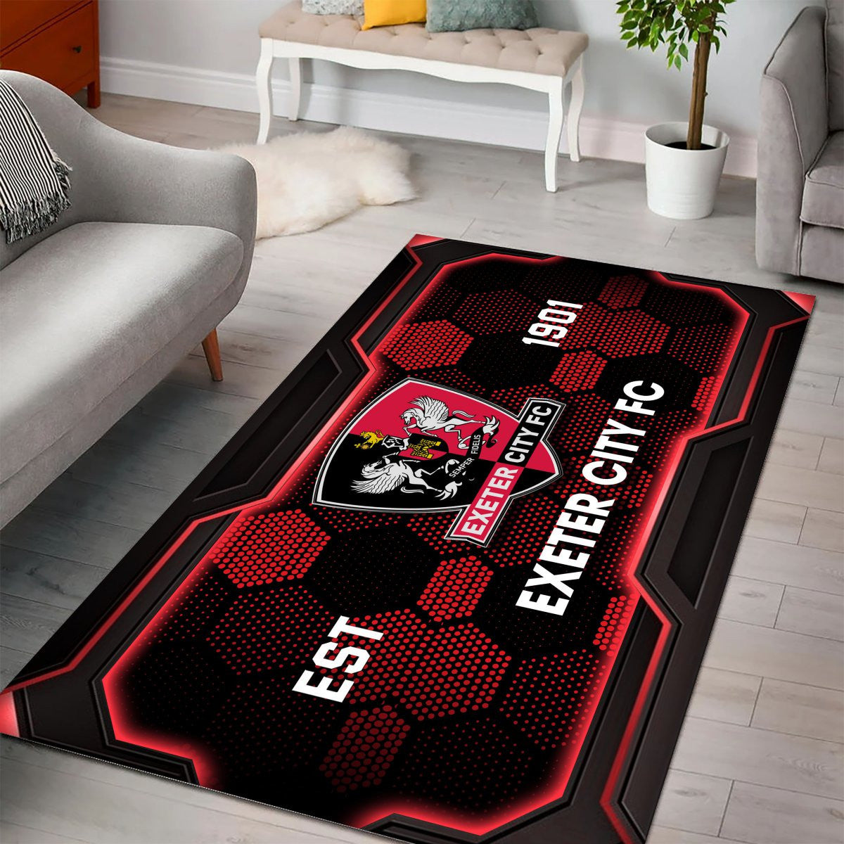 Exeter City DDQRUG110246