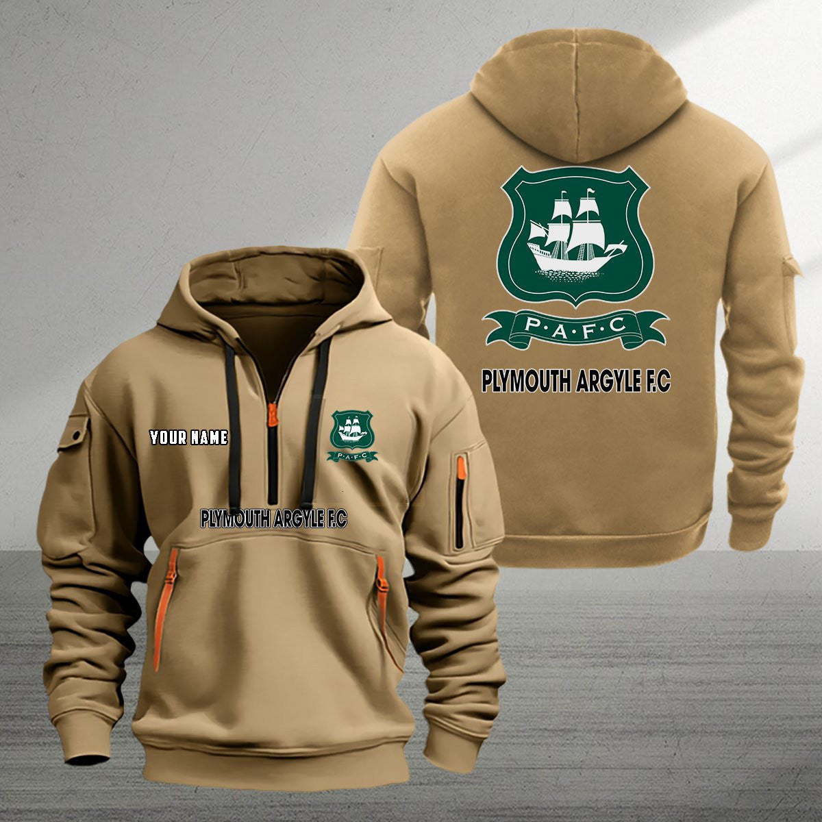 Plymouth Argyle DDQHZH910225