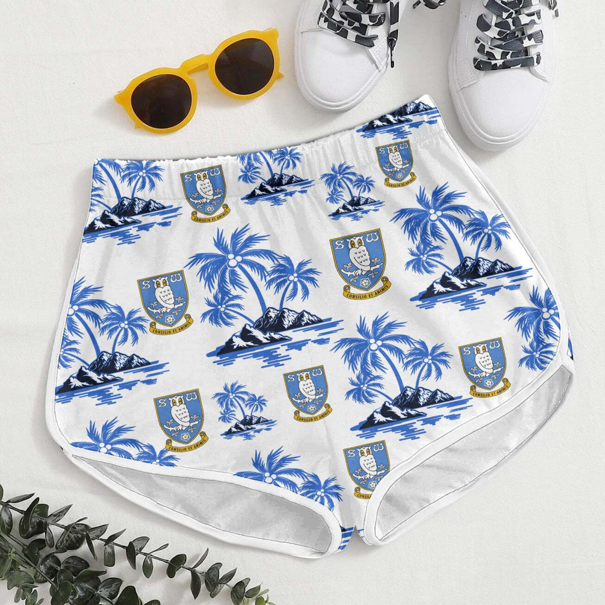 Sheffield Wednesday REUPQ11569