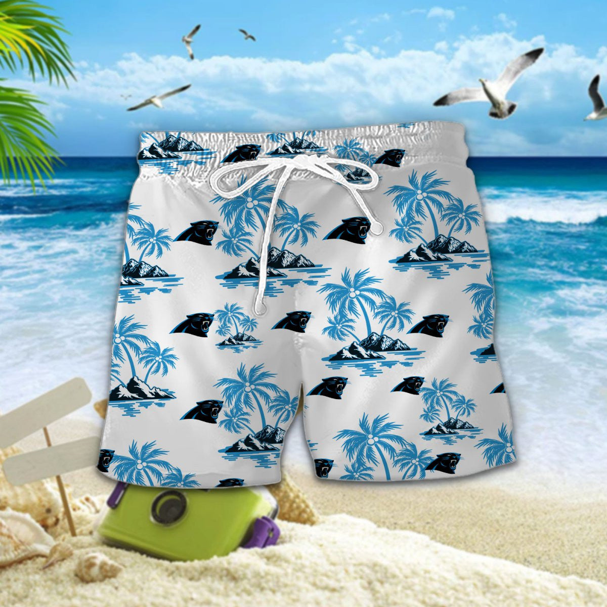 Carolina Panthers DDQQ10057