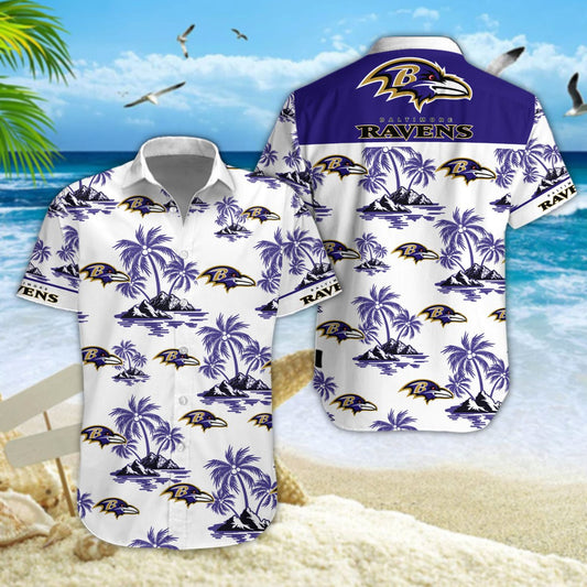 Baltimore Ravens DDQQ10055