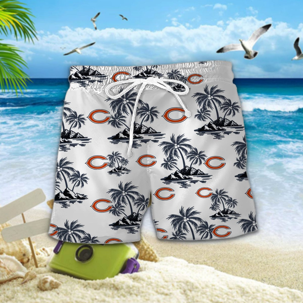 Chicago Bears DDQQ10058