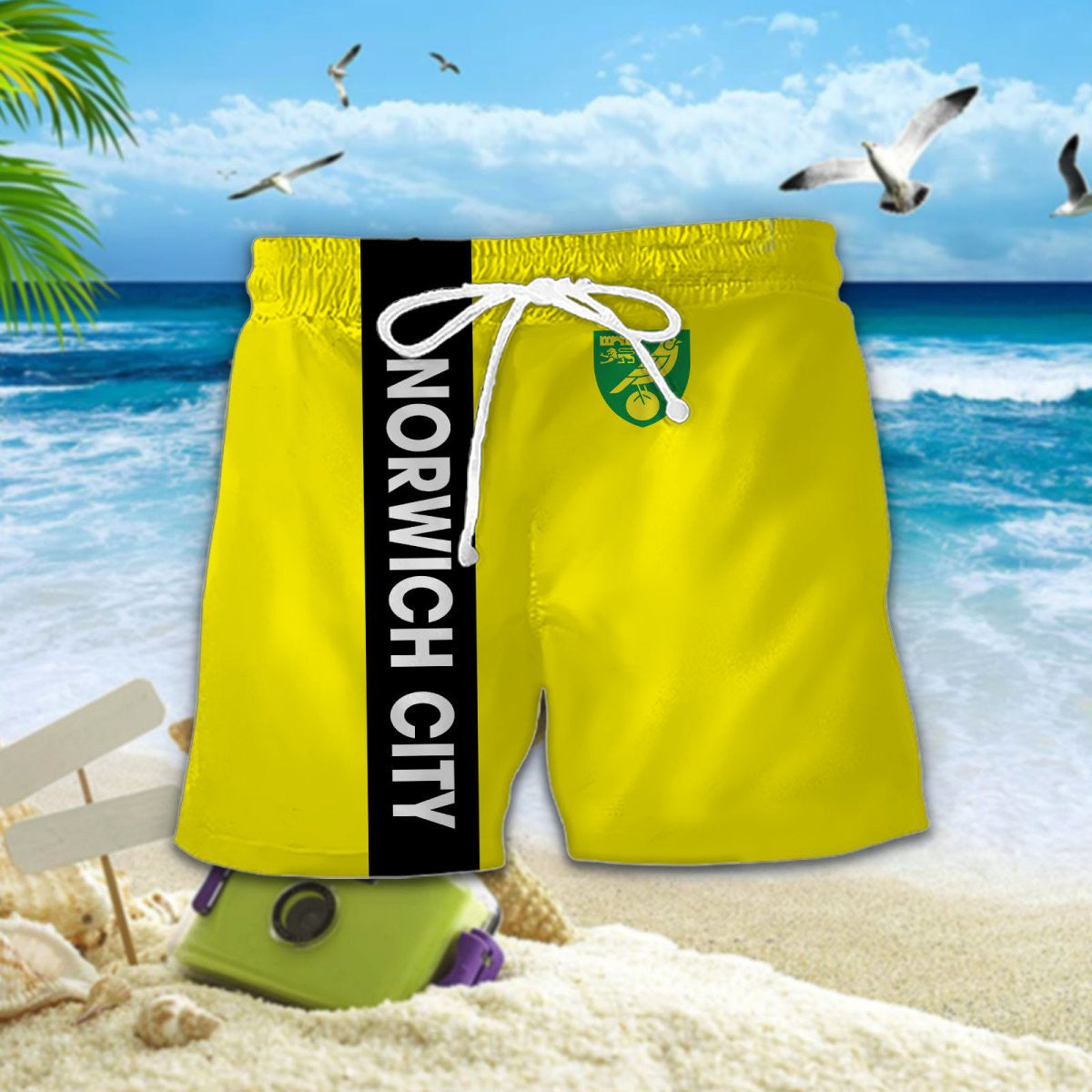 Norwich City DDQQ20013