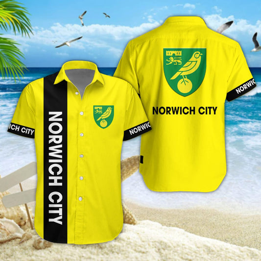 Norwich City DDQQ20013