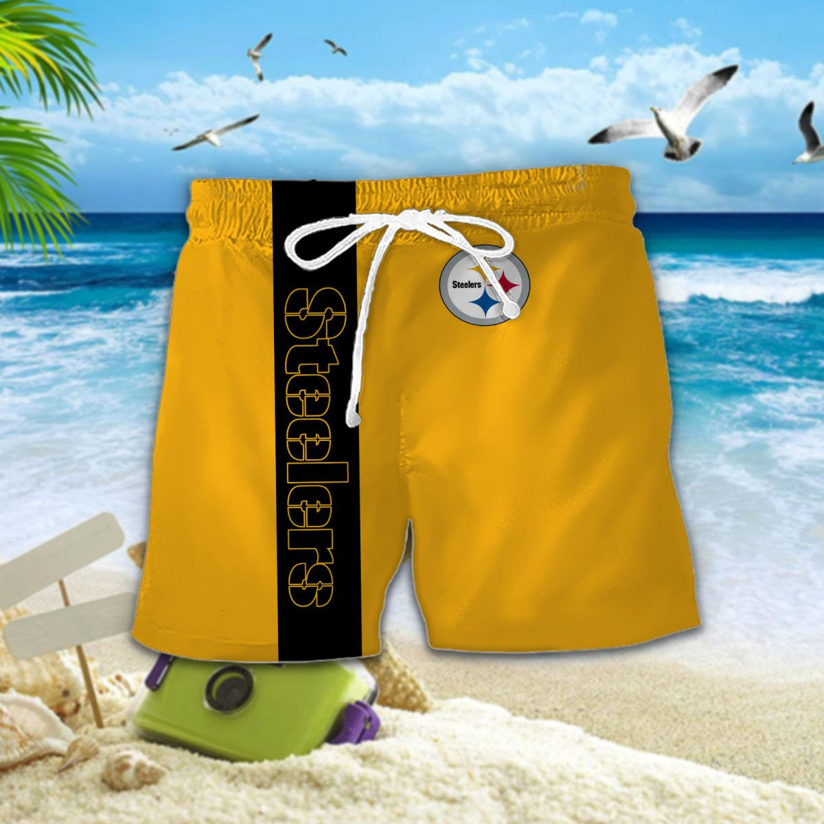 Pittsburgh Steelers DDQQ20171