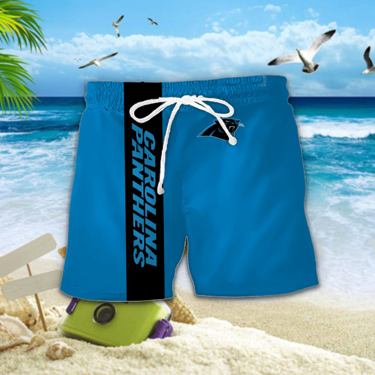 Carolina Panthers DDQQ20149