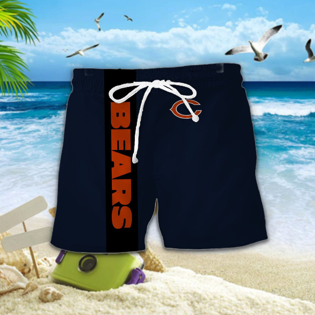 Chicago Bears DDQQ20150