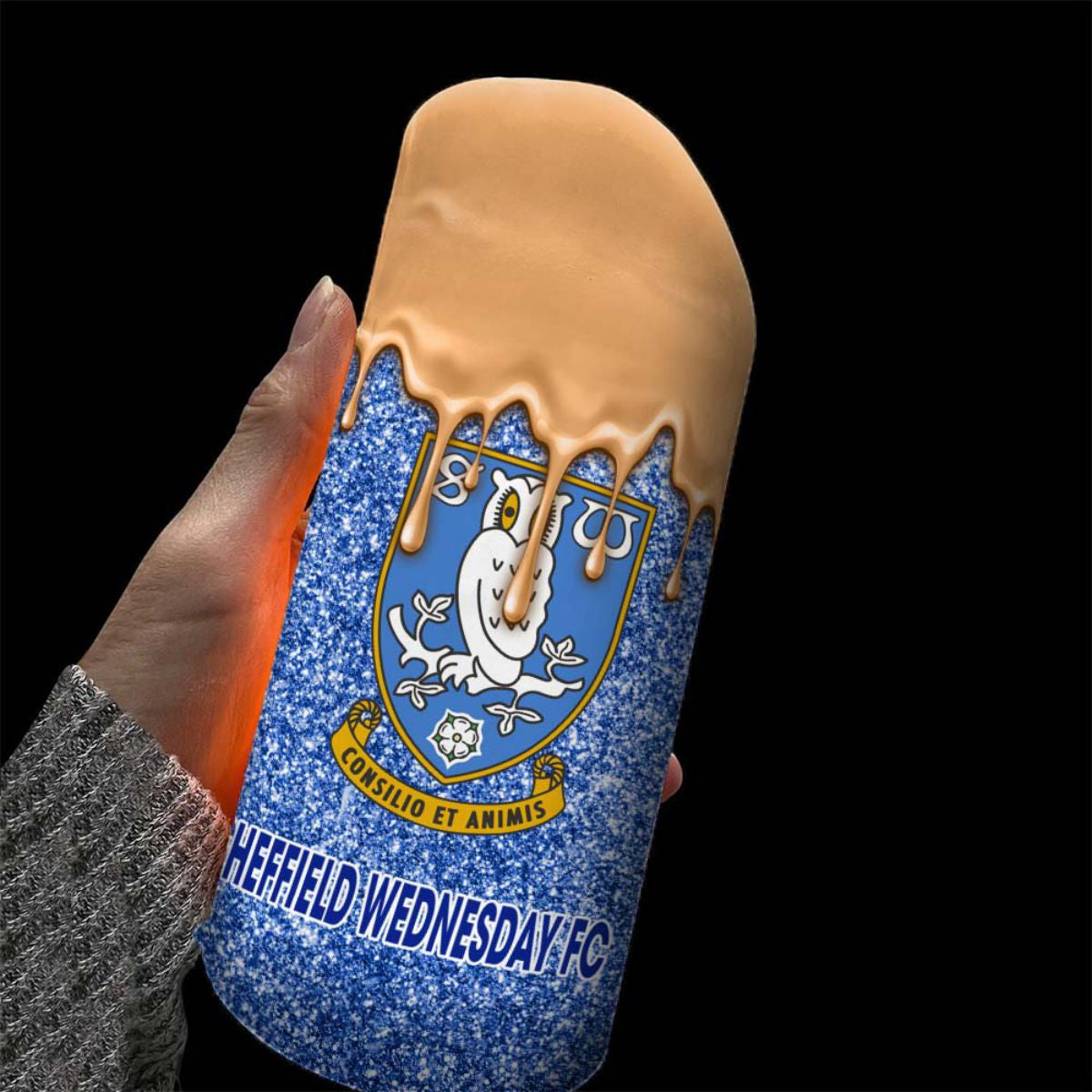 Sheffield Wednesday DDQLC10229