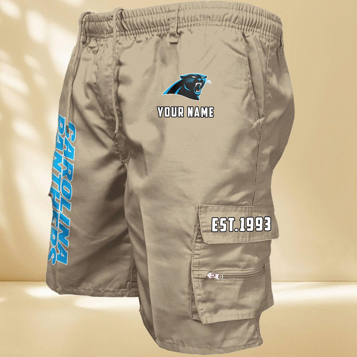 Carolina Panthers DDQMCOS10439