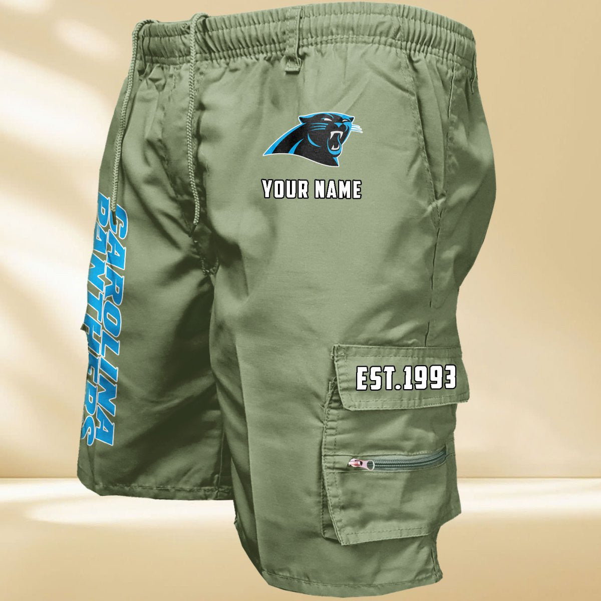 Carolina Panthers DDQMCOS10439