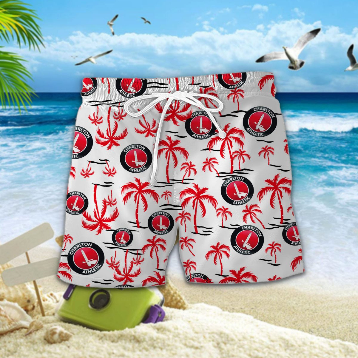 Charlton Athletic DDQQ30243