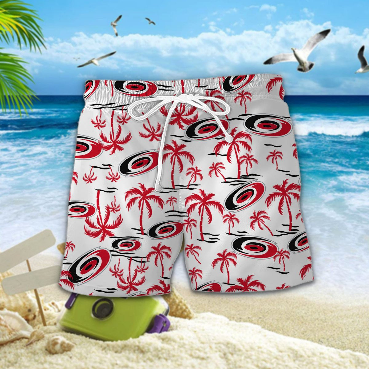 Carolina Hurricanes DDQQ30472