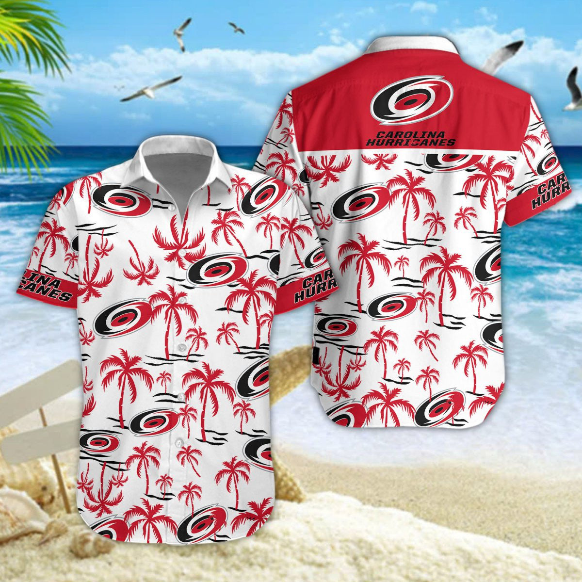 Carolina Hurricanes DDQQ30472