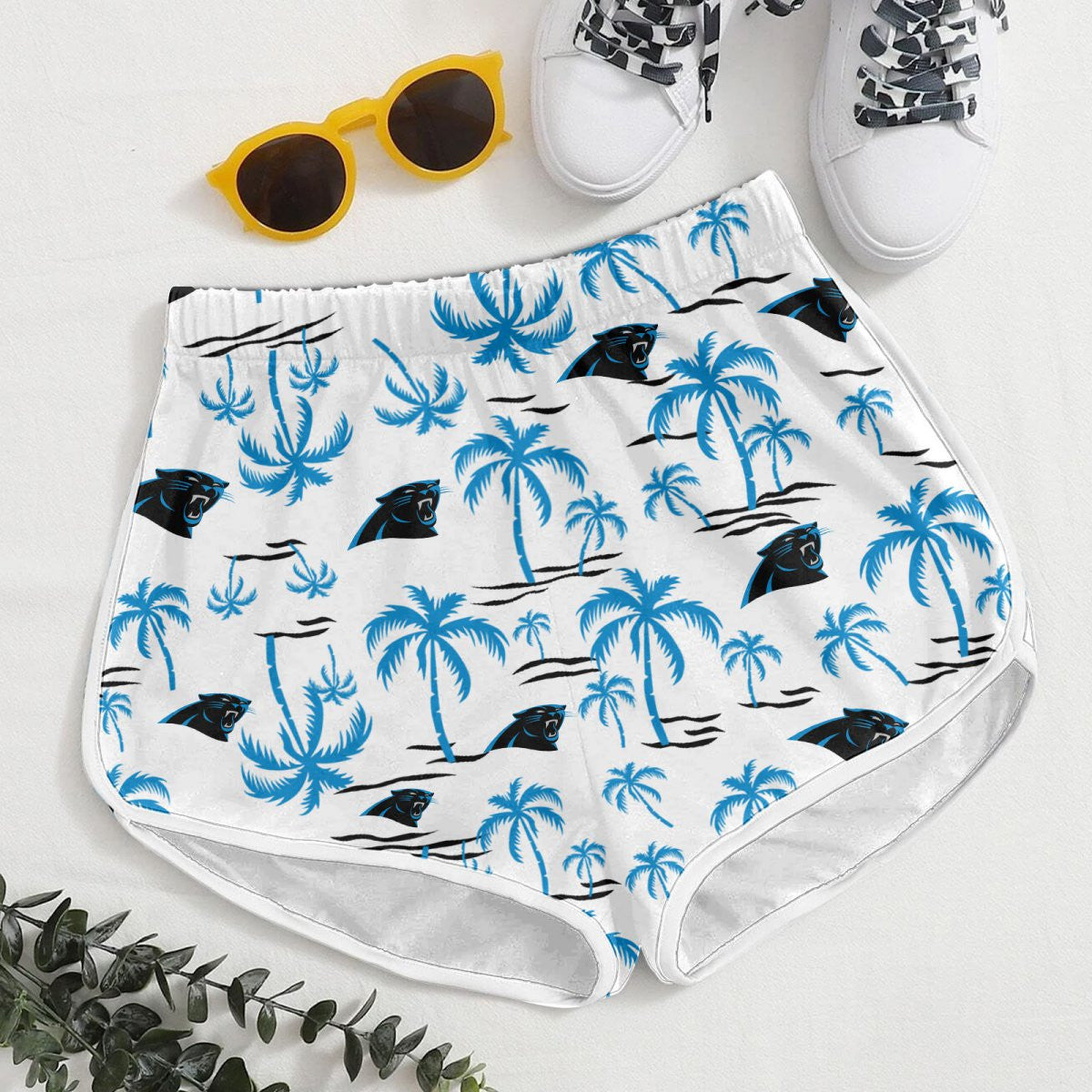 Carolina Panthers DDQQ30439