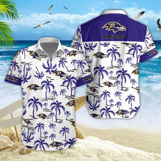 Baltimore Ravens DDQQ30437