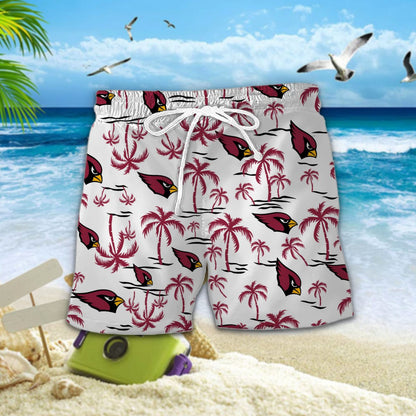 Arizona Cardinals DDQQ30435