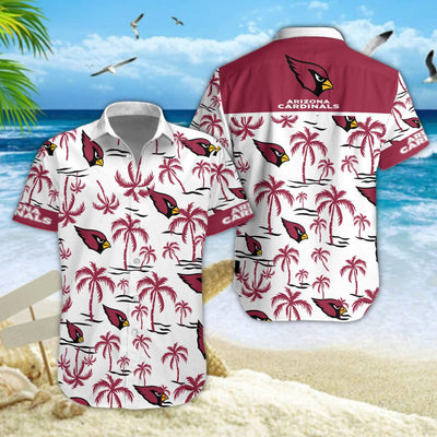 Arizona Cardinals DDQQ30435