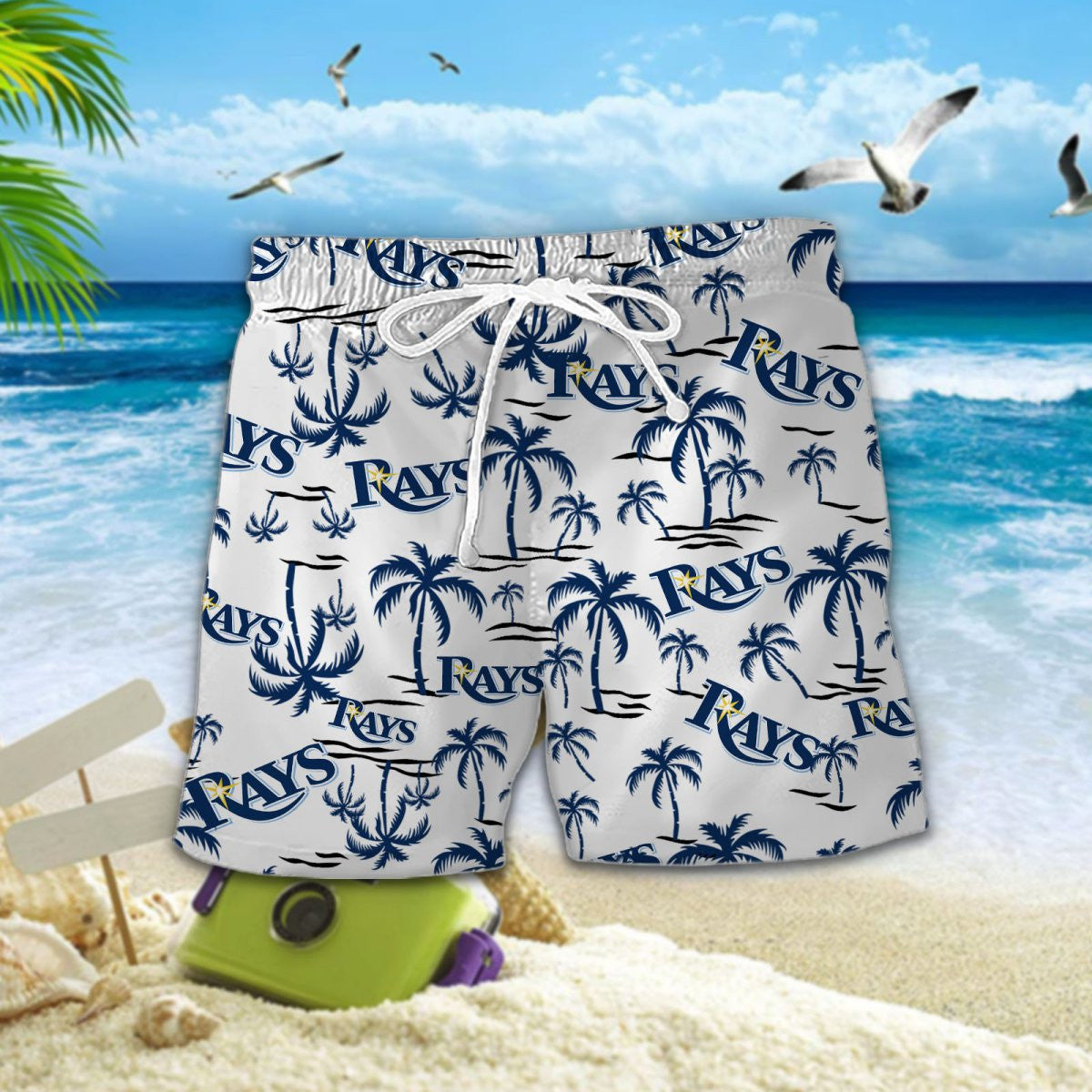 Tampa Bay Rays DDQQ30525