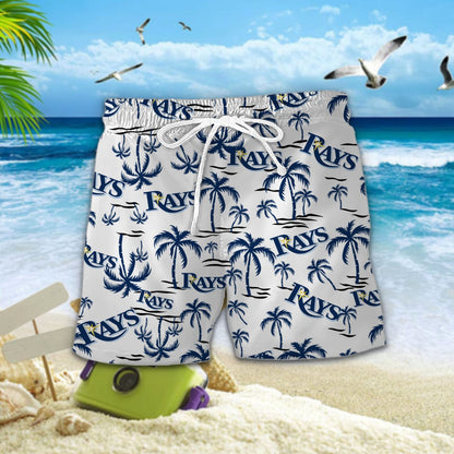 Tampa Bay Rays DDQQ30525