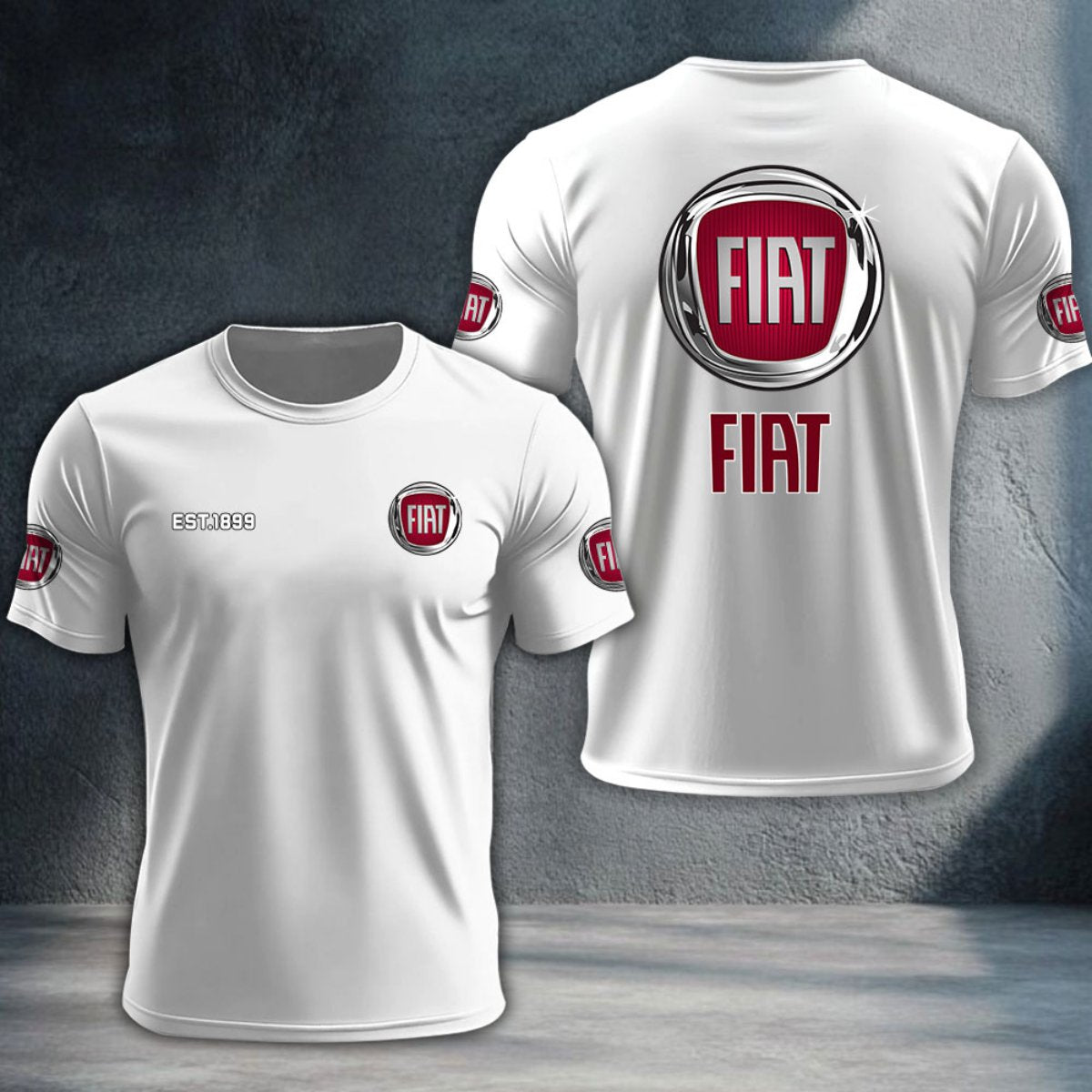 Fiat DTNTA10091
