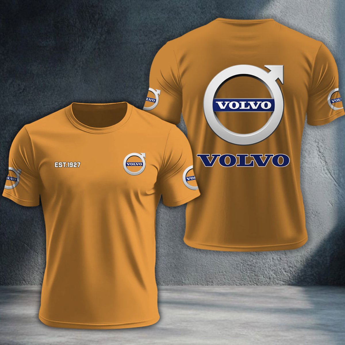 Volvo DTNTA10020