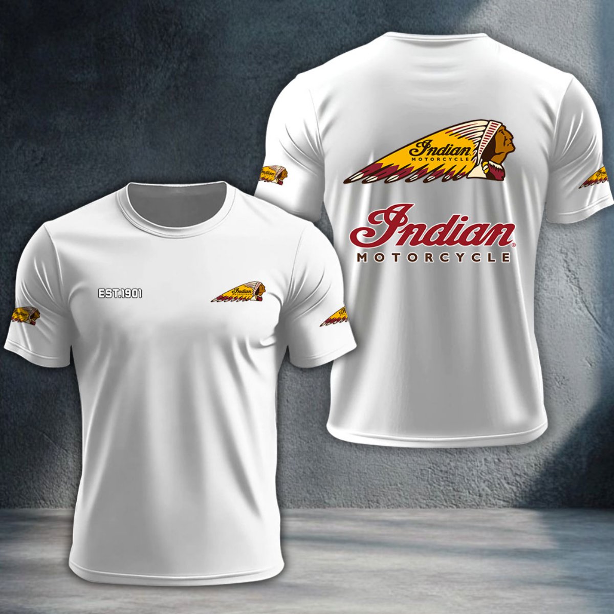 Indian Motorcycle DTNTA10047