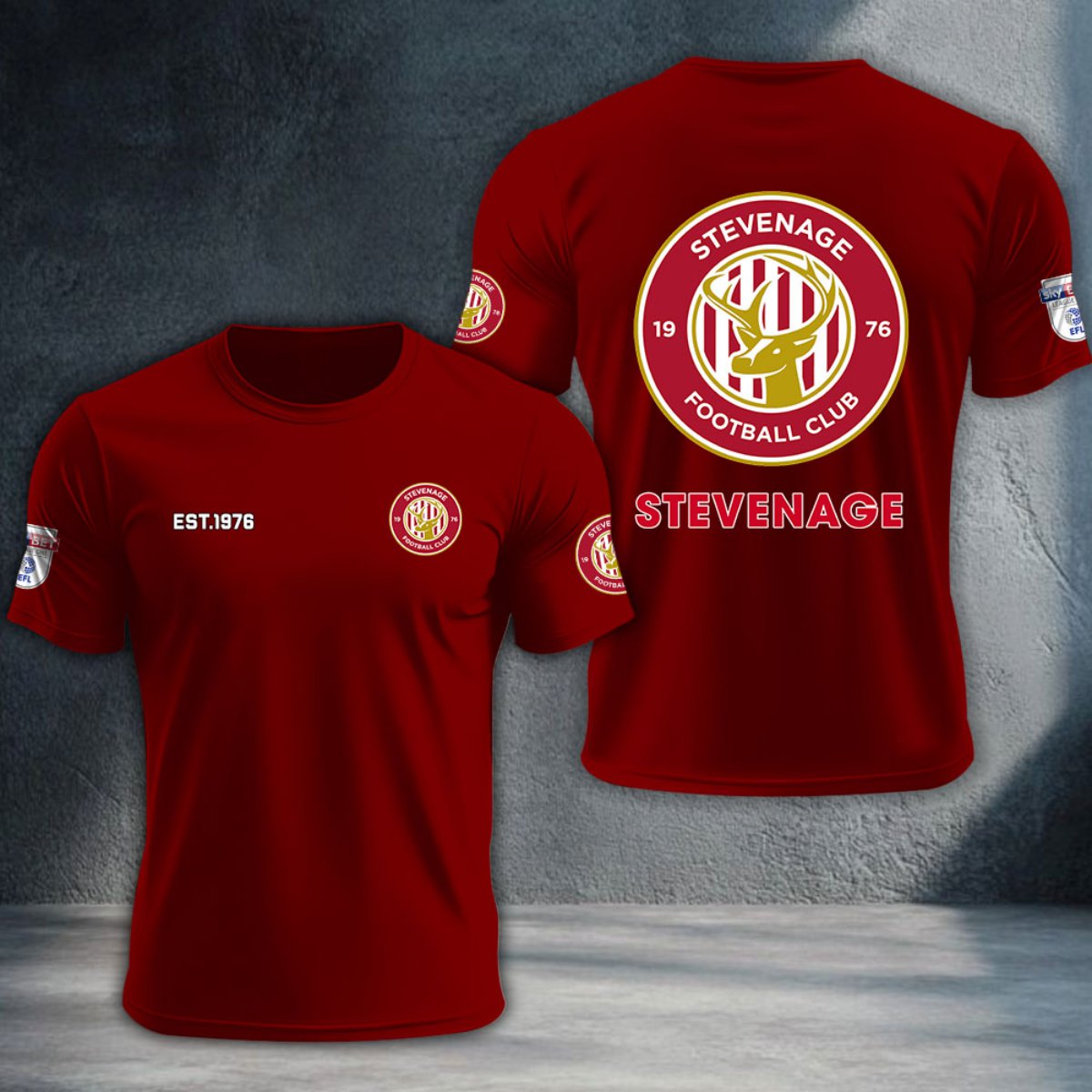 Stevenage Football Club DTNTA10257
