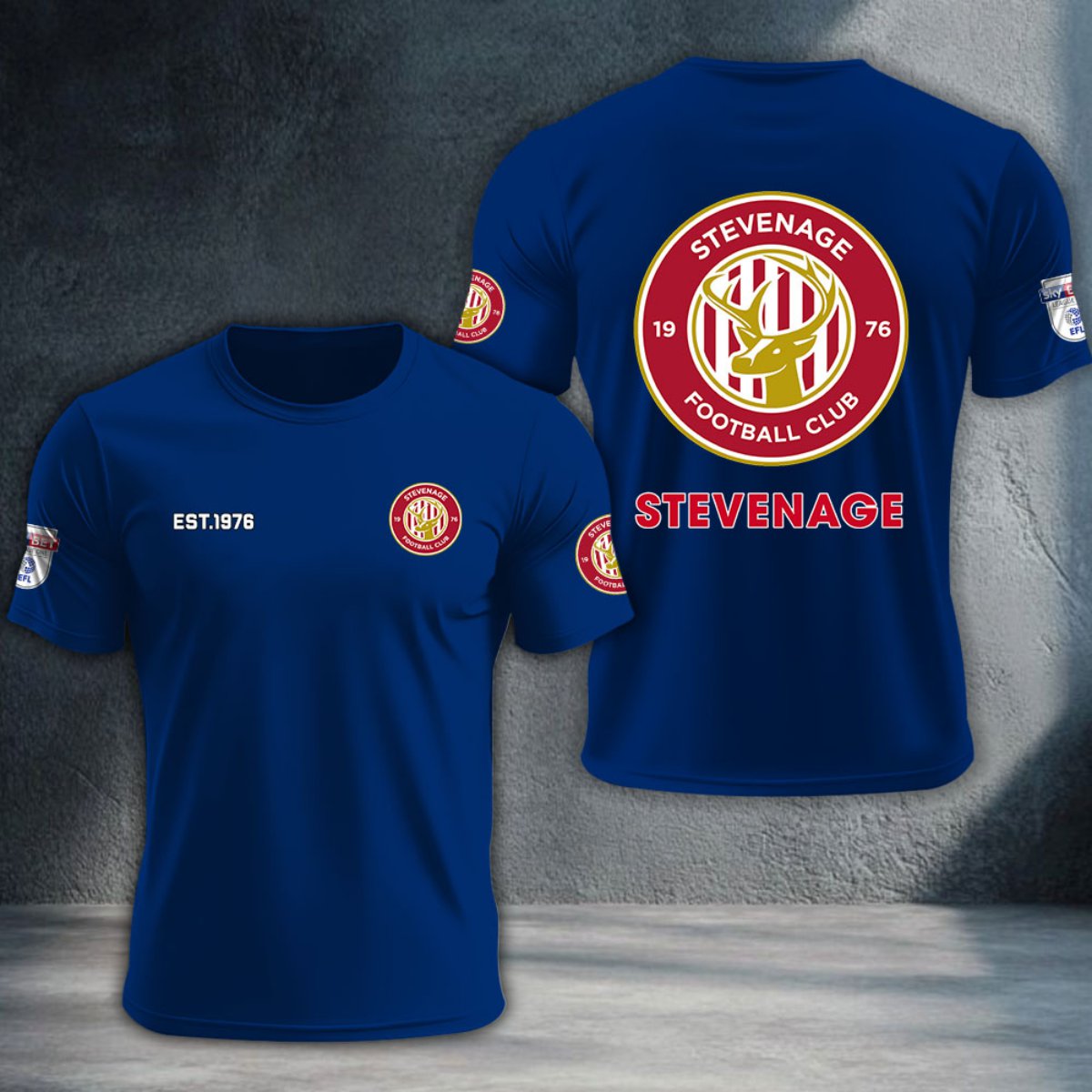 Stevenage Football Club DTNTA10257