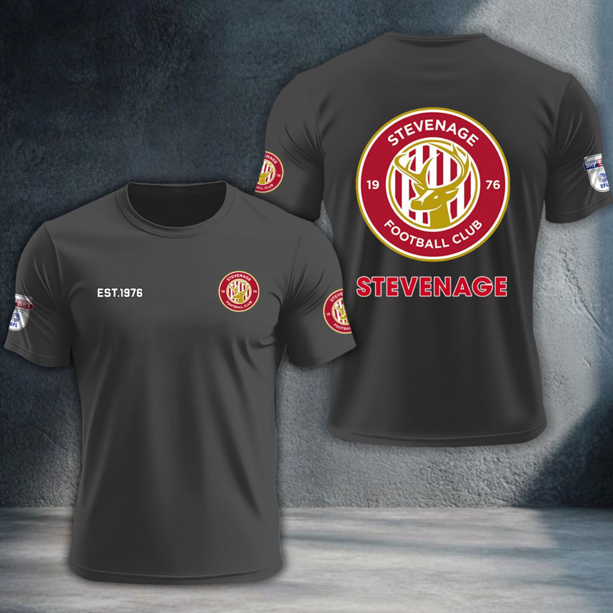 Stevenage Football Club DTNTA10257