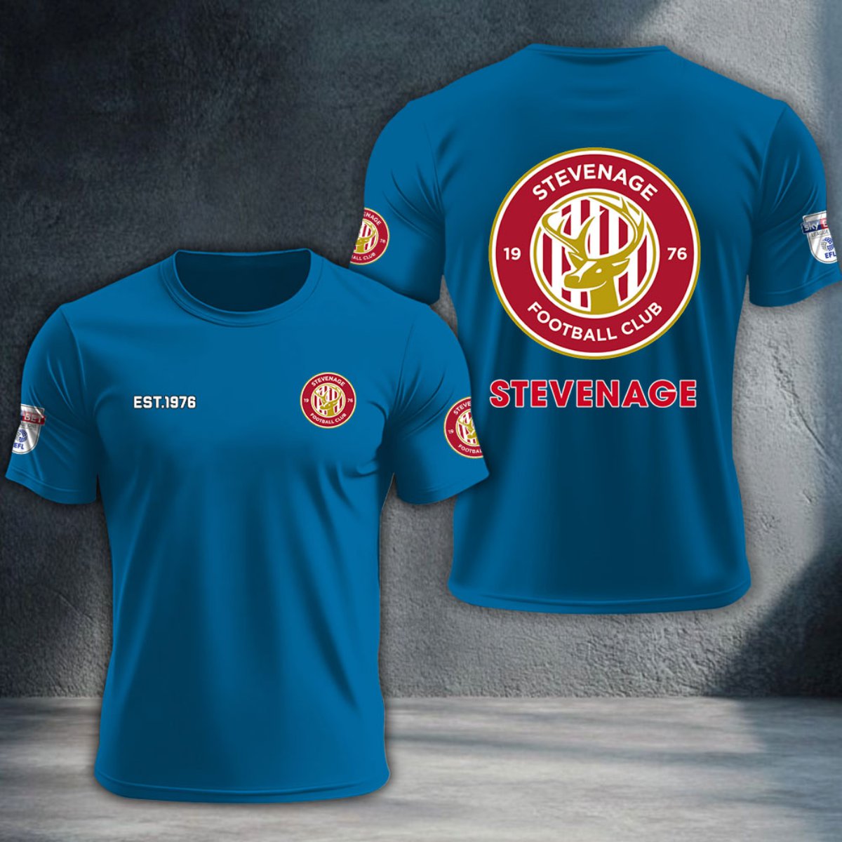Stevenage Football Club DTNTA10257