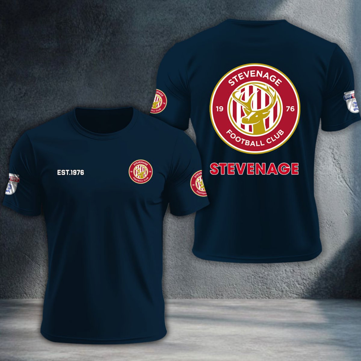 Stevenage Football Club DTNTA10257
