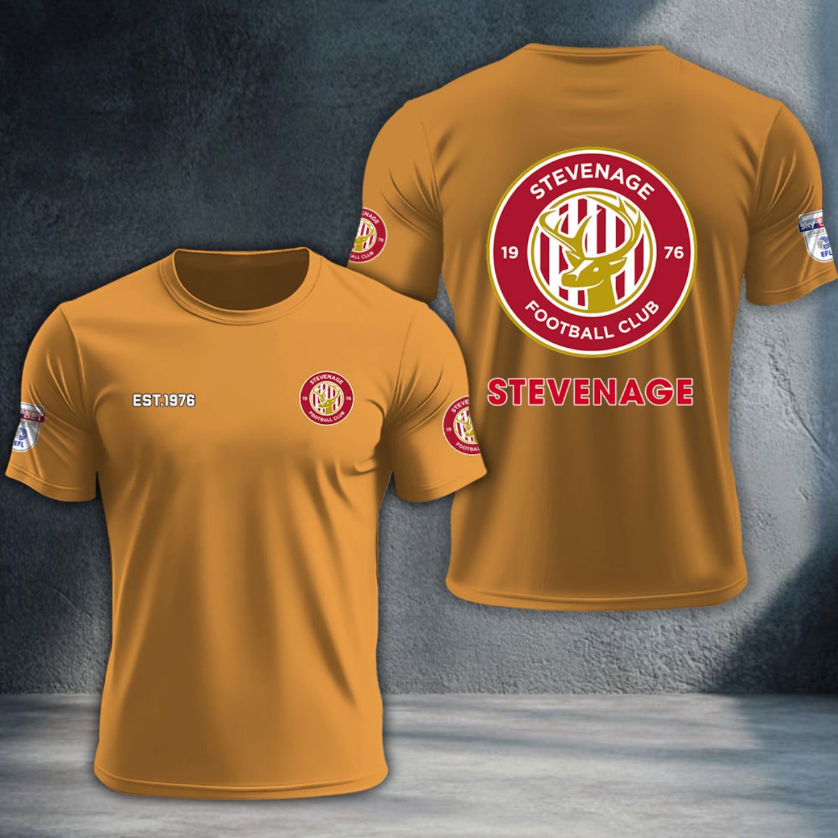 Stevenage Football Club DTNTA10257
