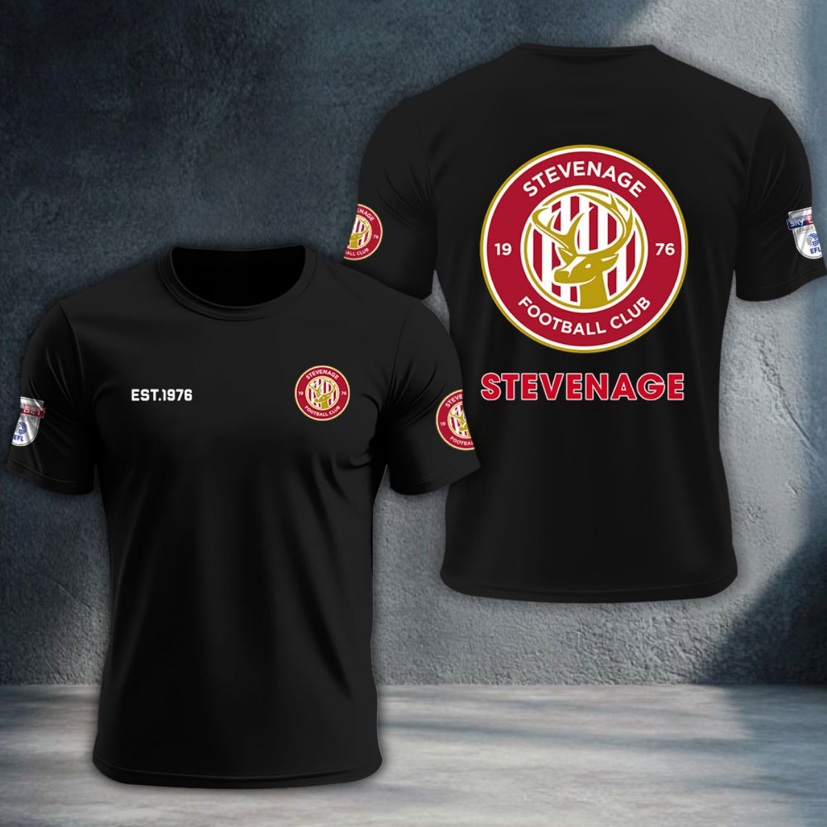 Stevenage Football Club DTNTA10257