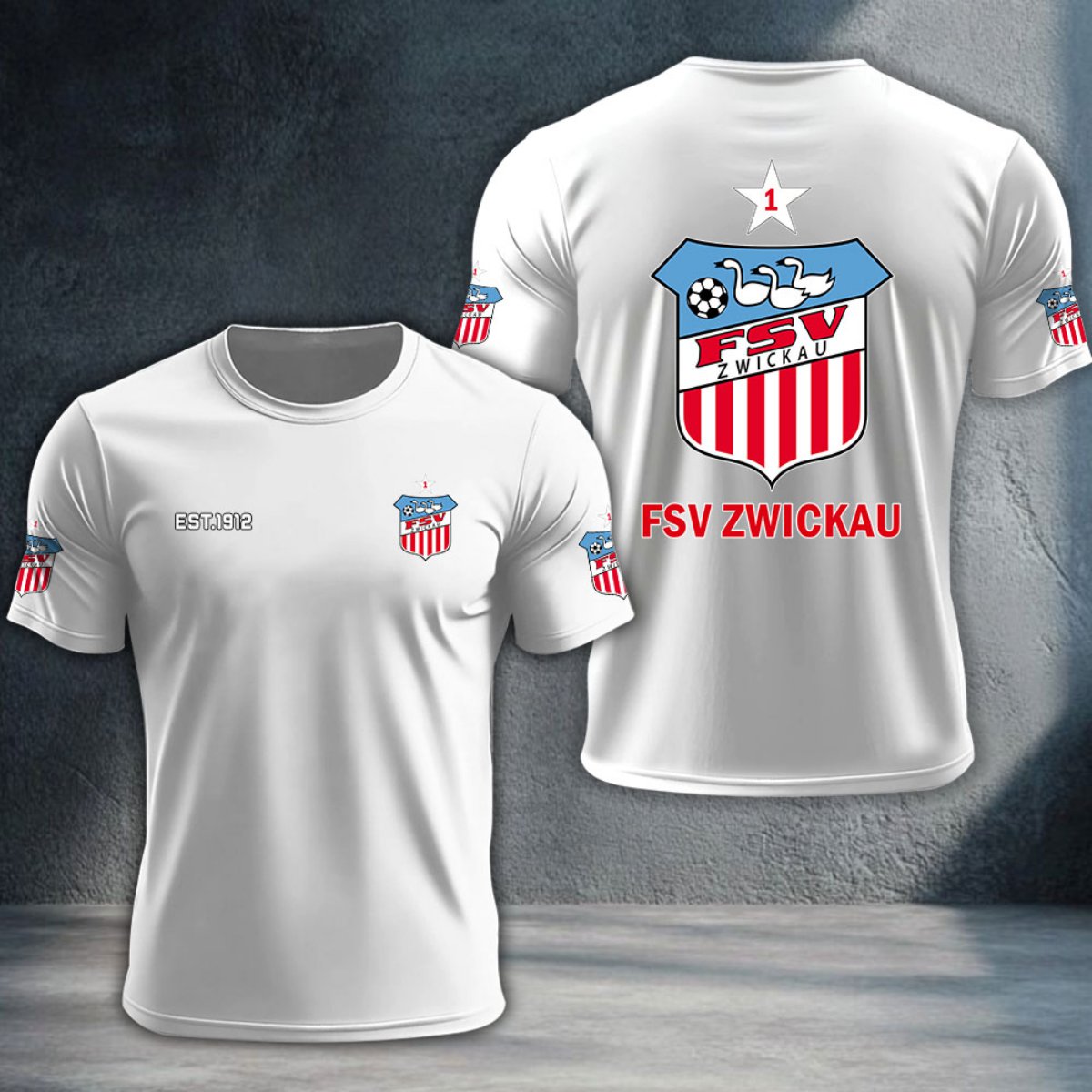 FSV Zwickau DTNTA10328