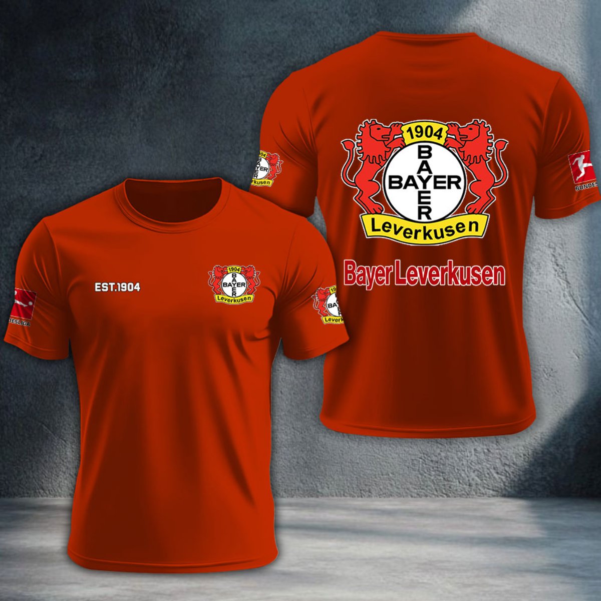 Bayer 04 Leverkusen DTNTA10286