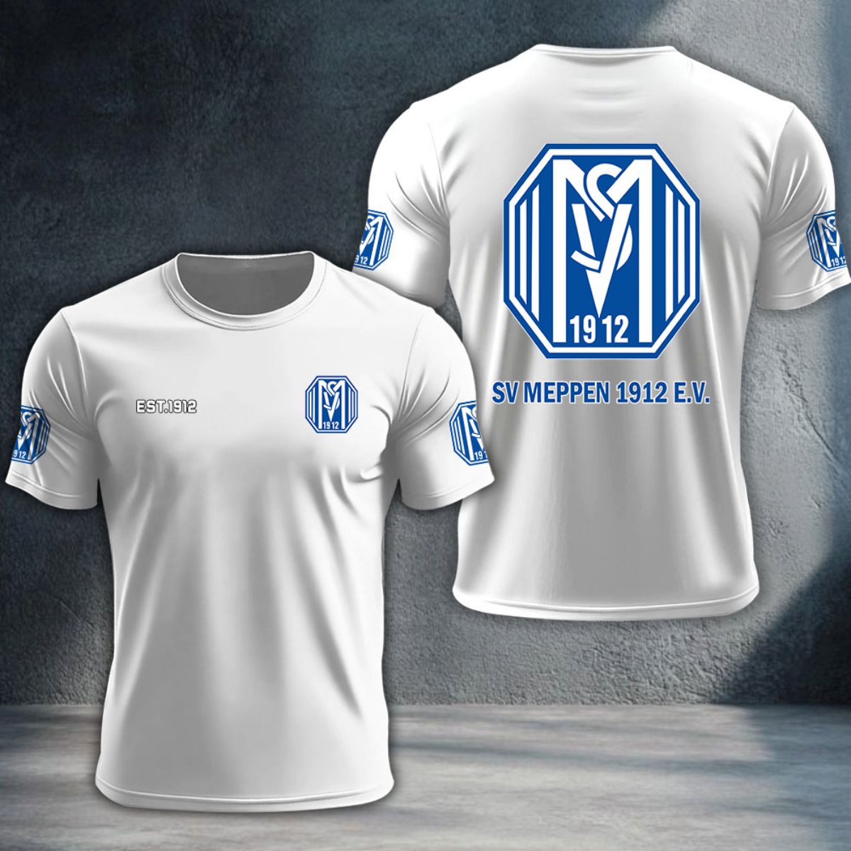 SV Meppen DTNTA10336