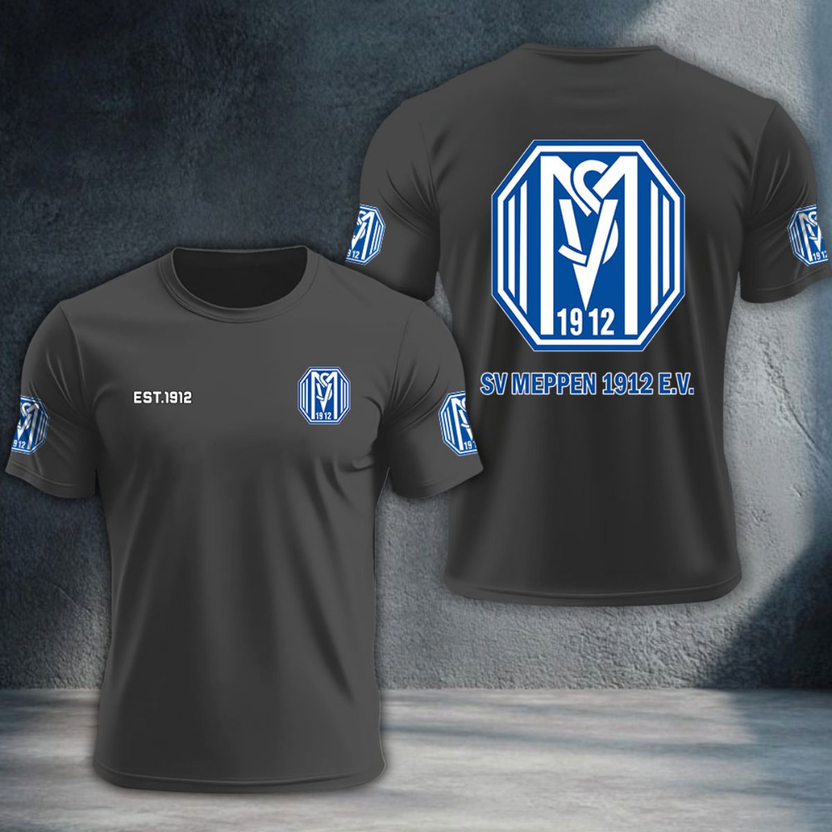 SV Meppen DTNTA10336