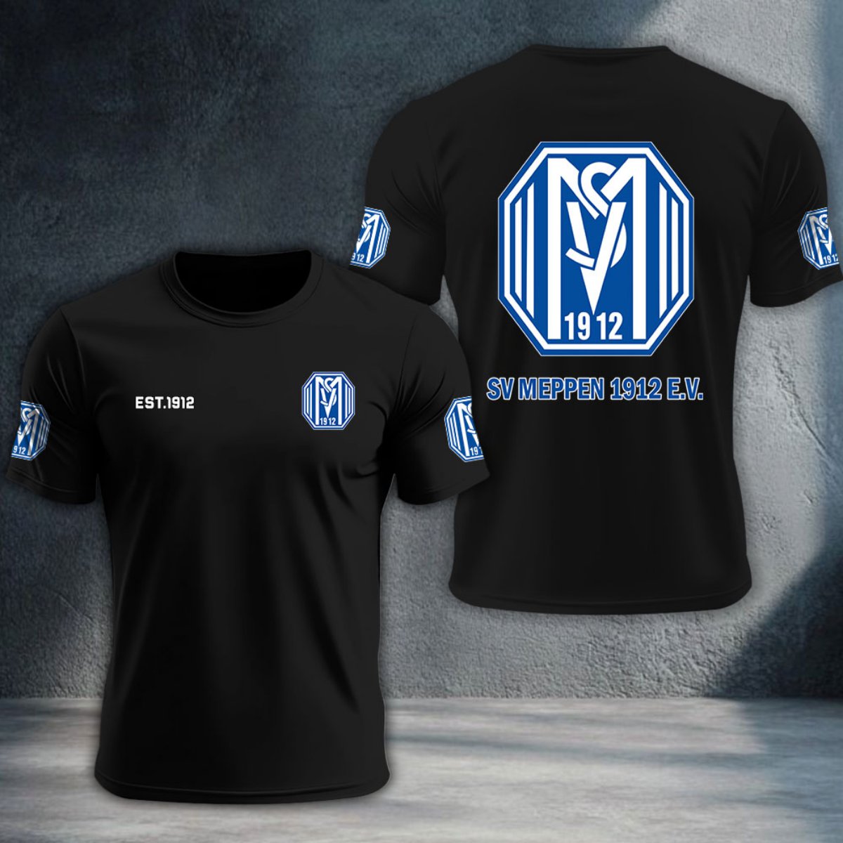 SV Meppen DTNTA10336