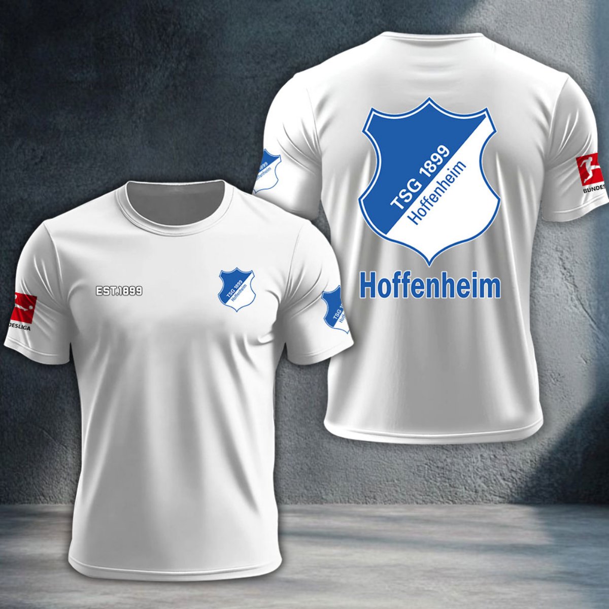 TSG Hoffenheim DTNTA10296
