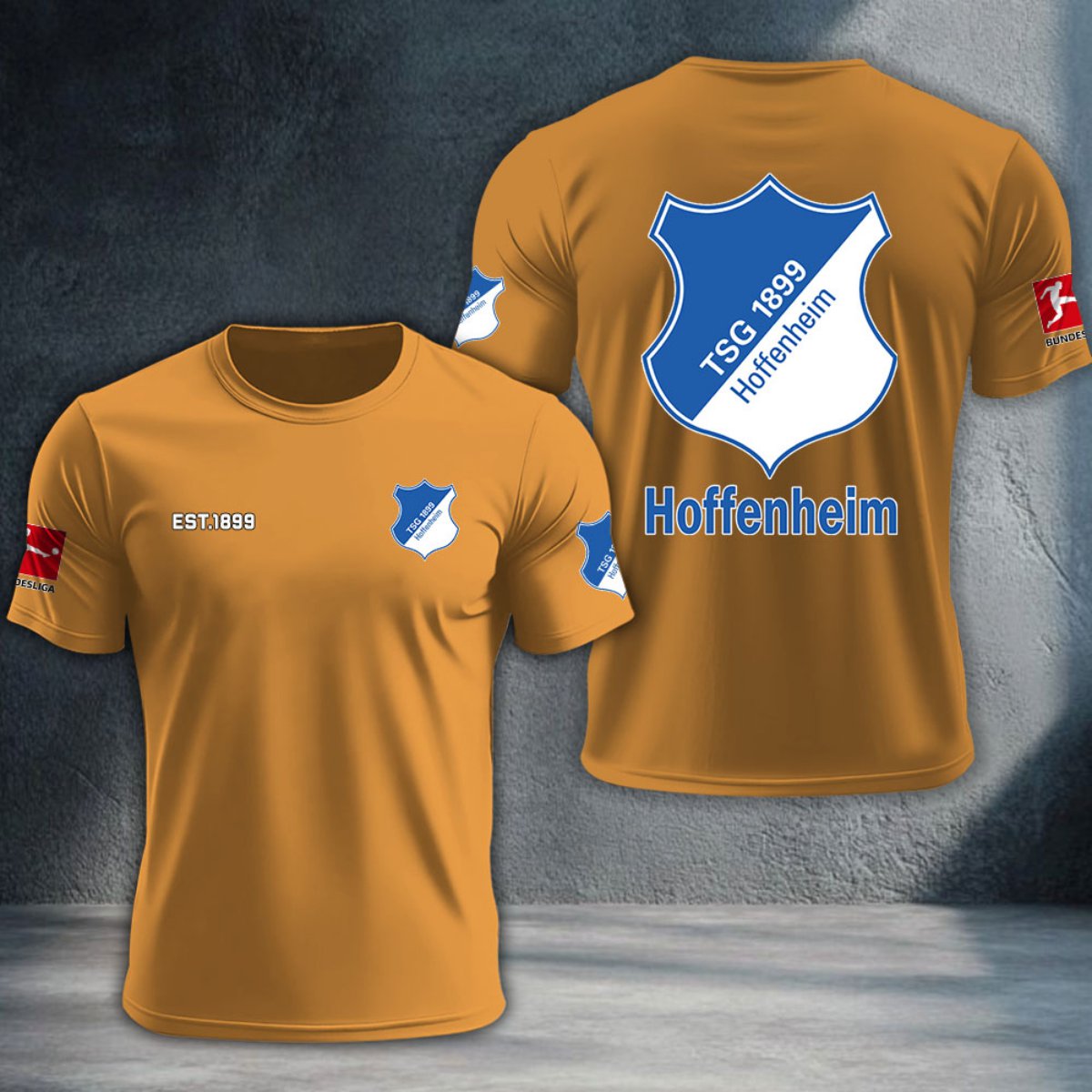 TSG Hoffenheim DTNTA10296