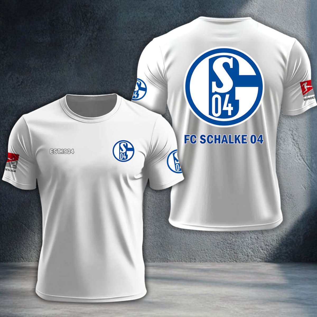 Schalke 04 DTNTA10295