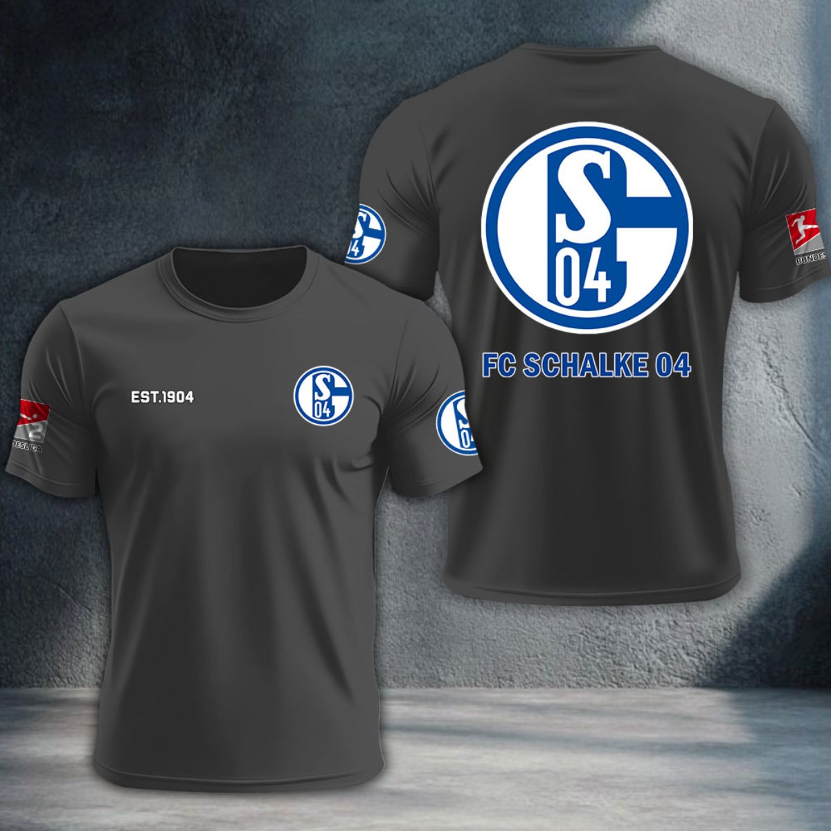 Schalke 04 DTNTA10295