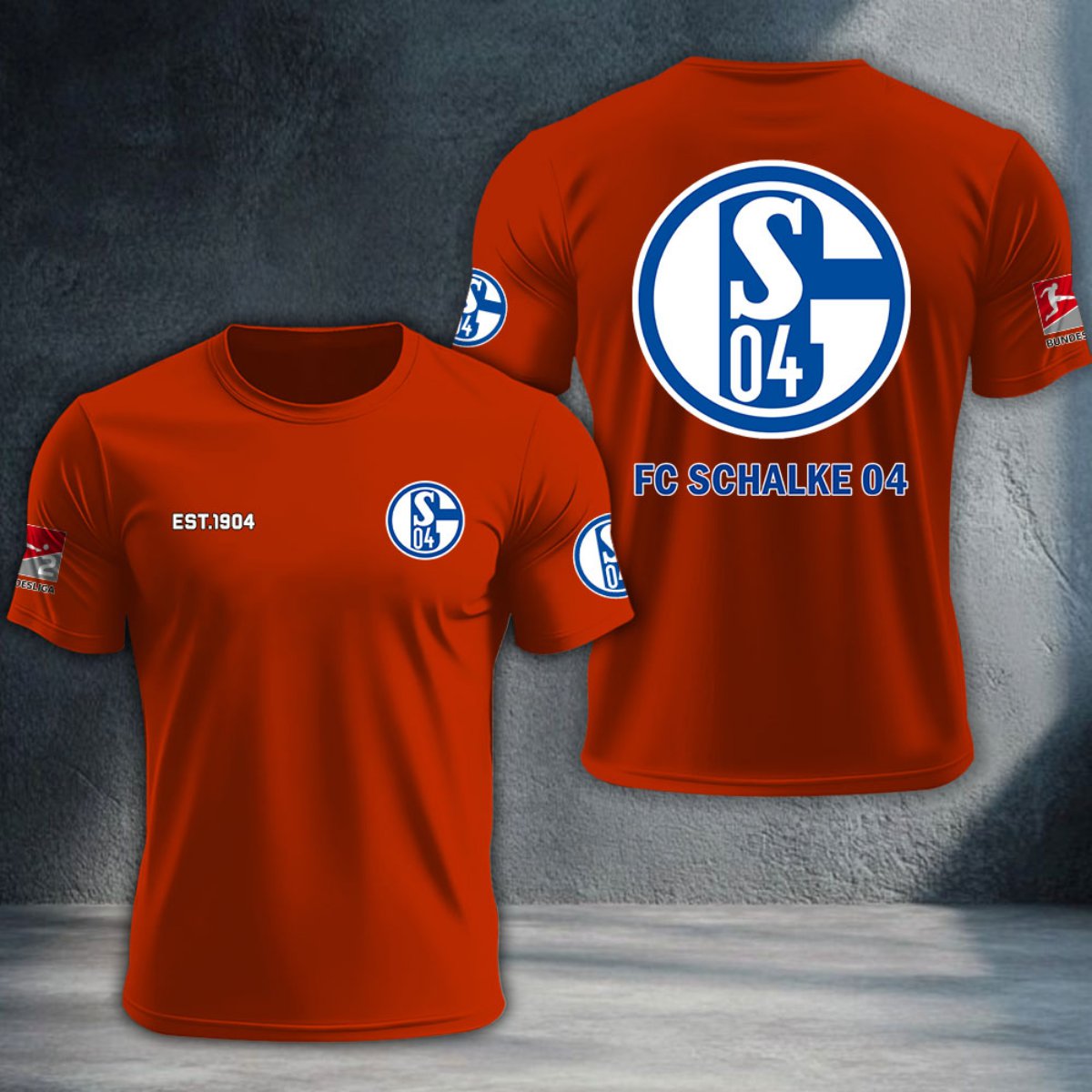 Schalke 04 DTNTA10295