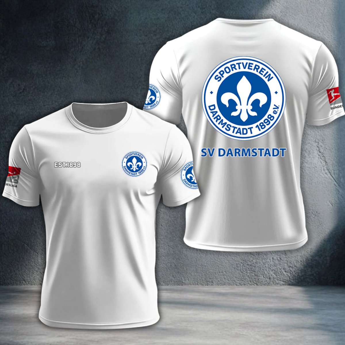 Darmstadt 98 DTNTA10306