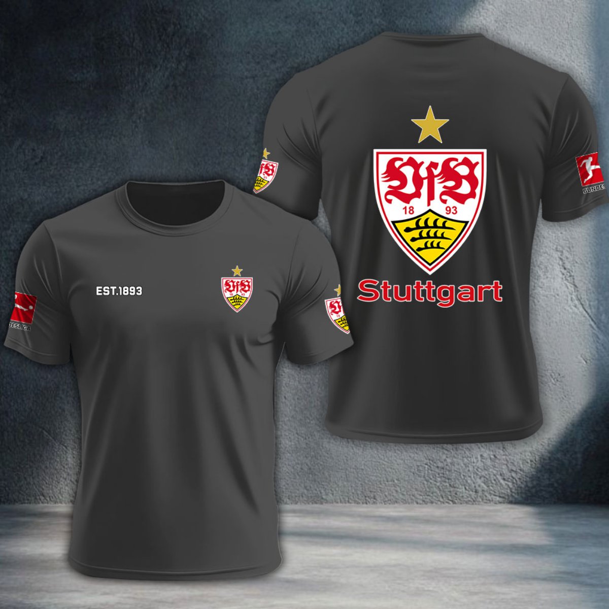 VfB Stuttgart DTNTA10298
