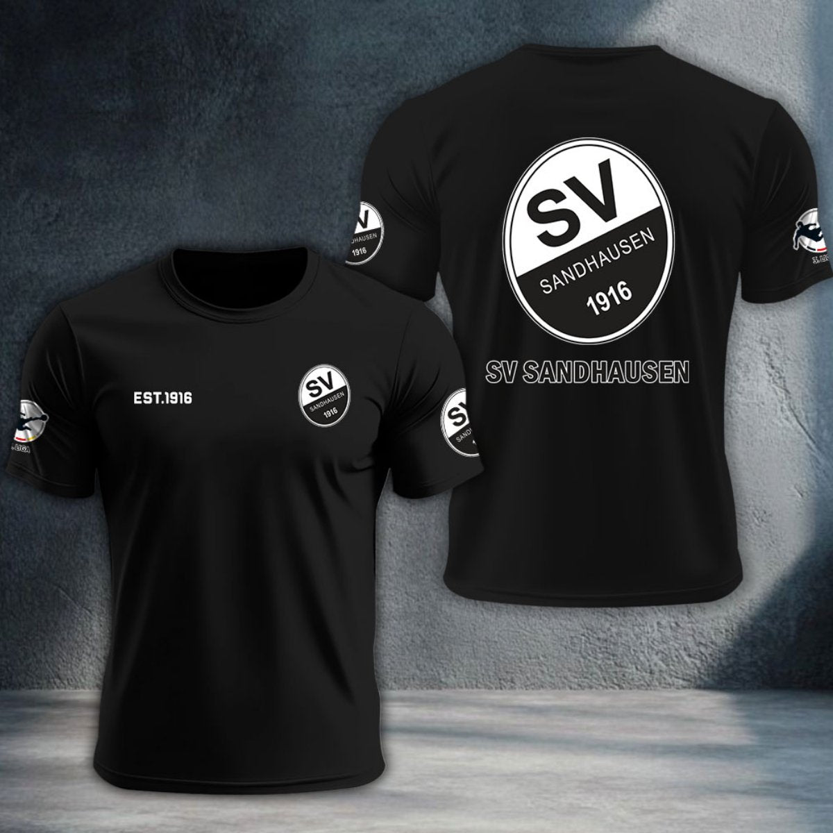 SV Sandhausen DTNTA10319