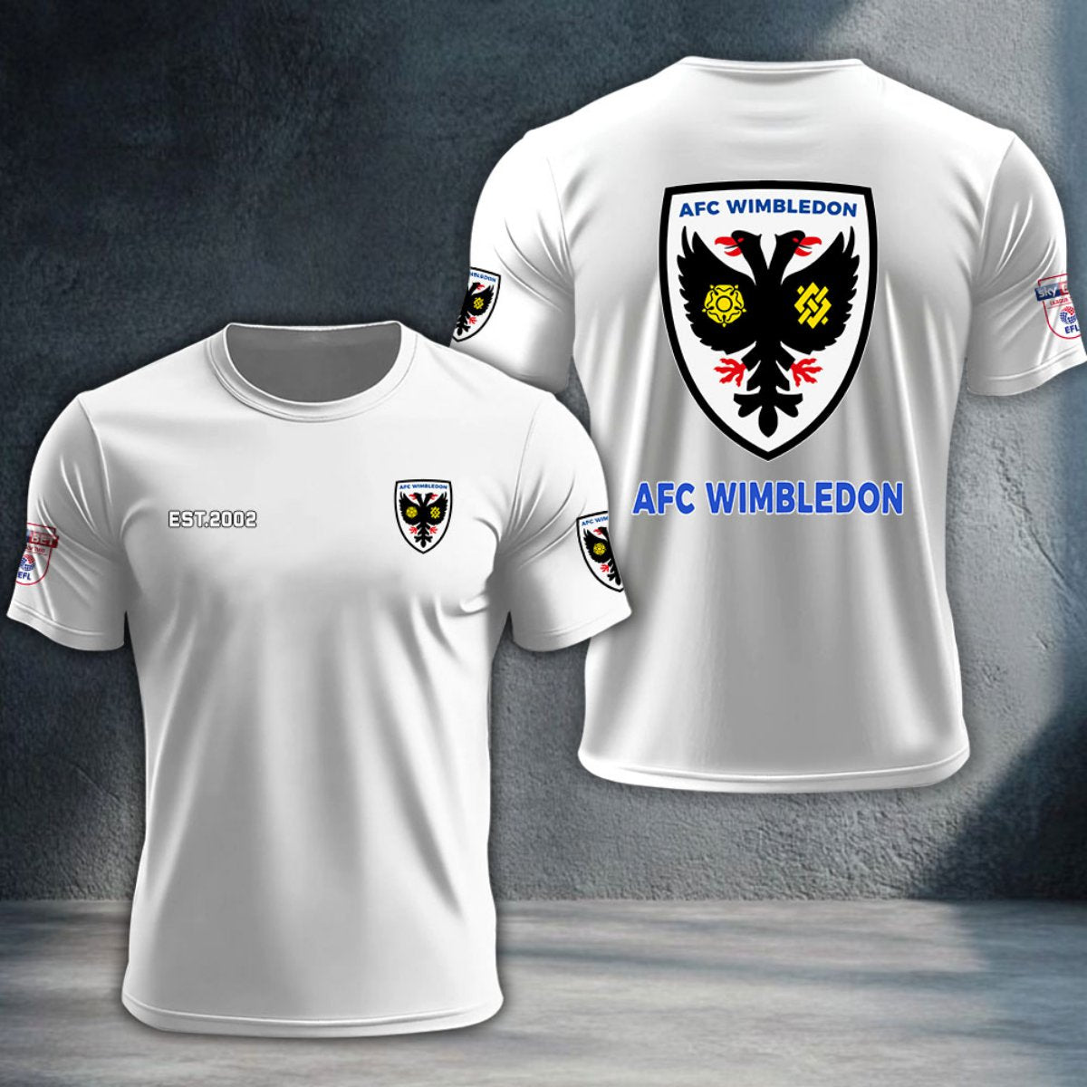 AFC Wimbledon DTNTA10261