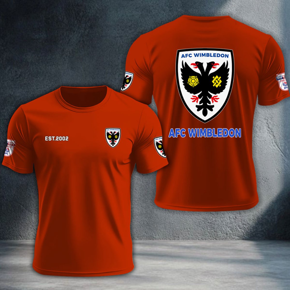 AFC Wimbledon DTNTA10261